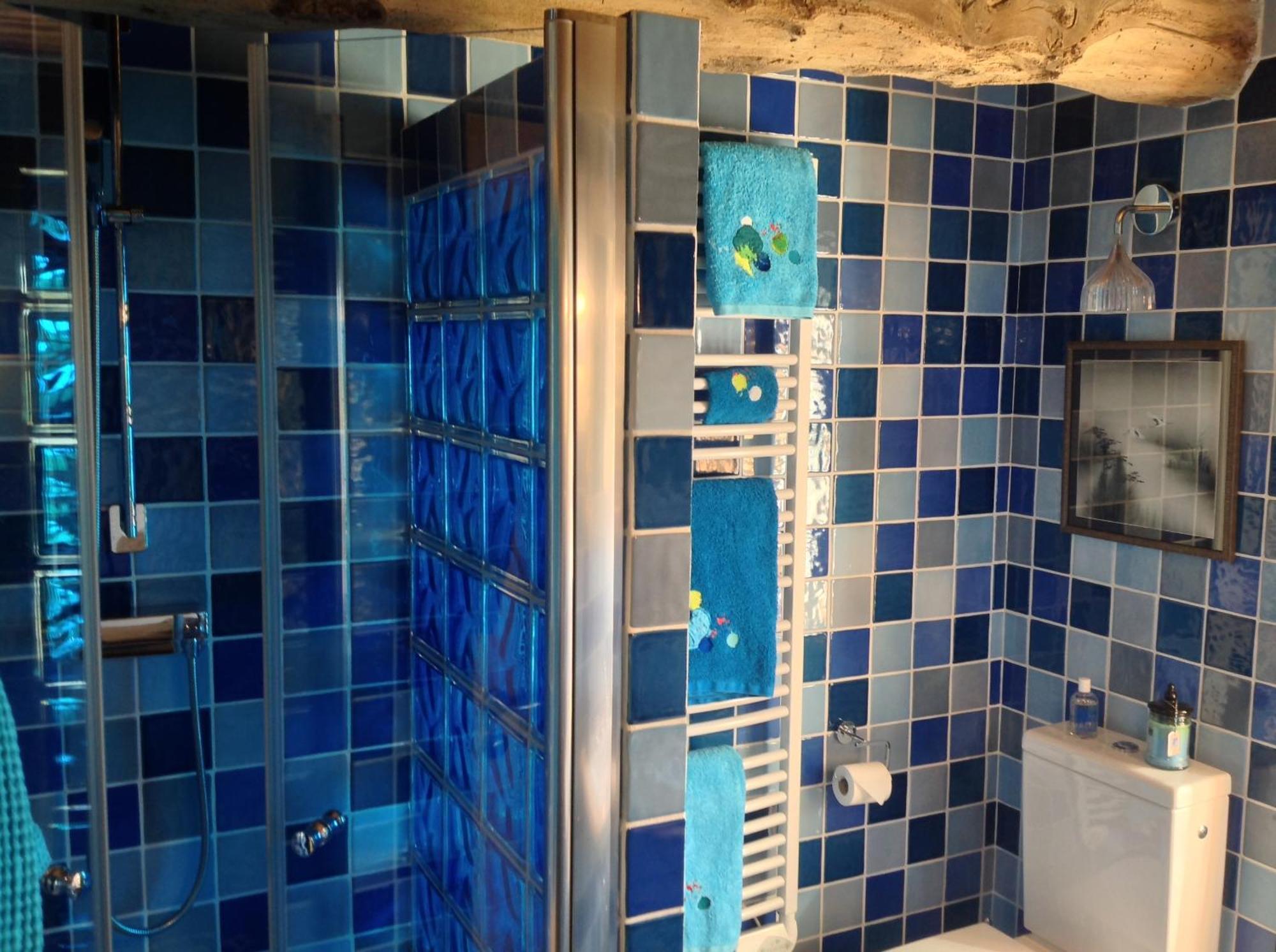 Beaussais Sur Mer Manoir De La Rogerais & Spa חדר תמונה